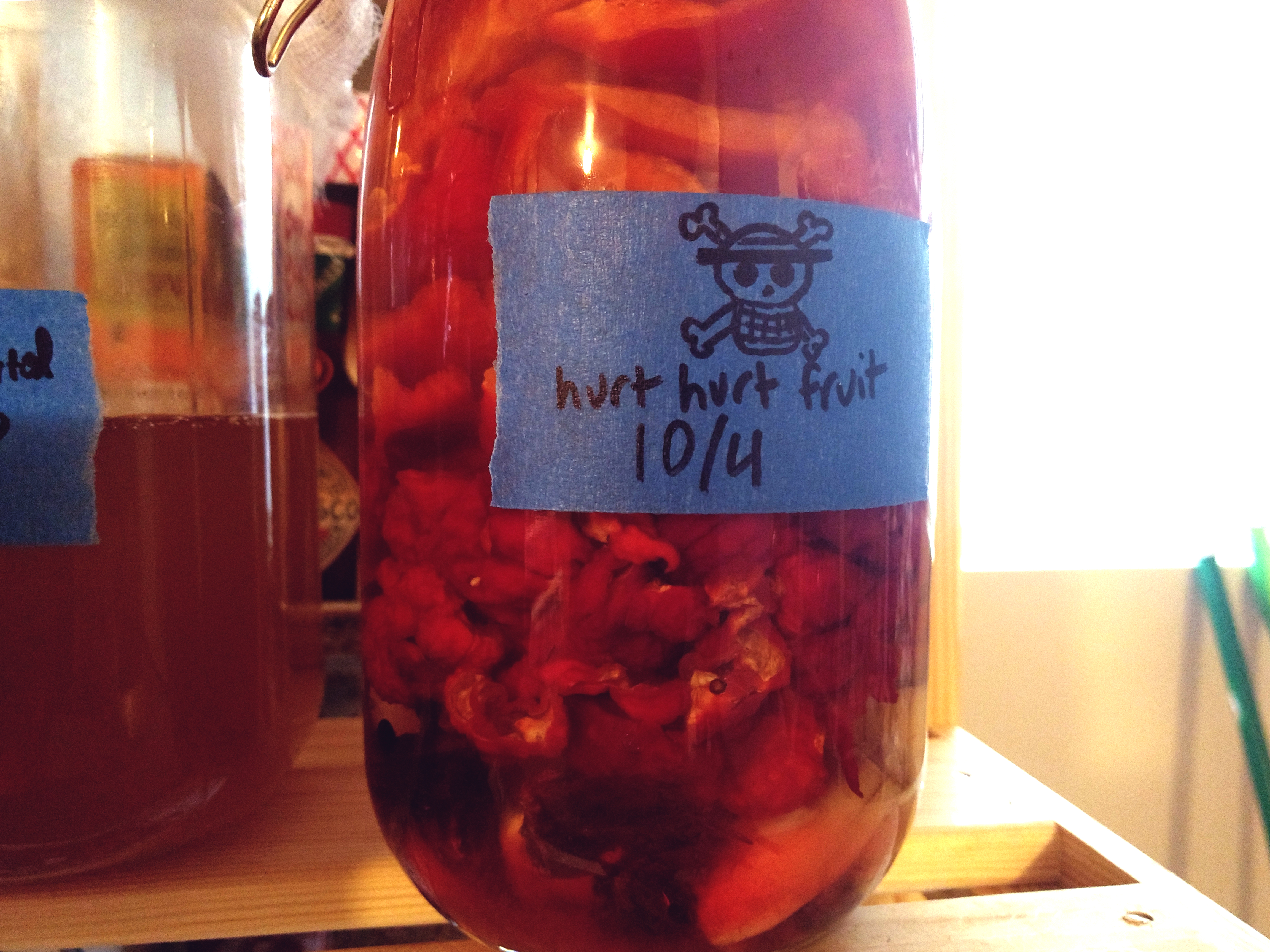 a jar of carolina reapers and other ingredients fermenting in a reddish brine
