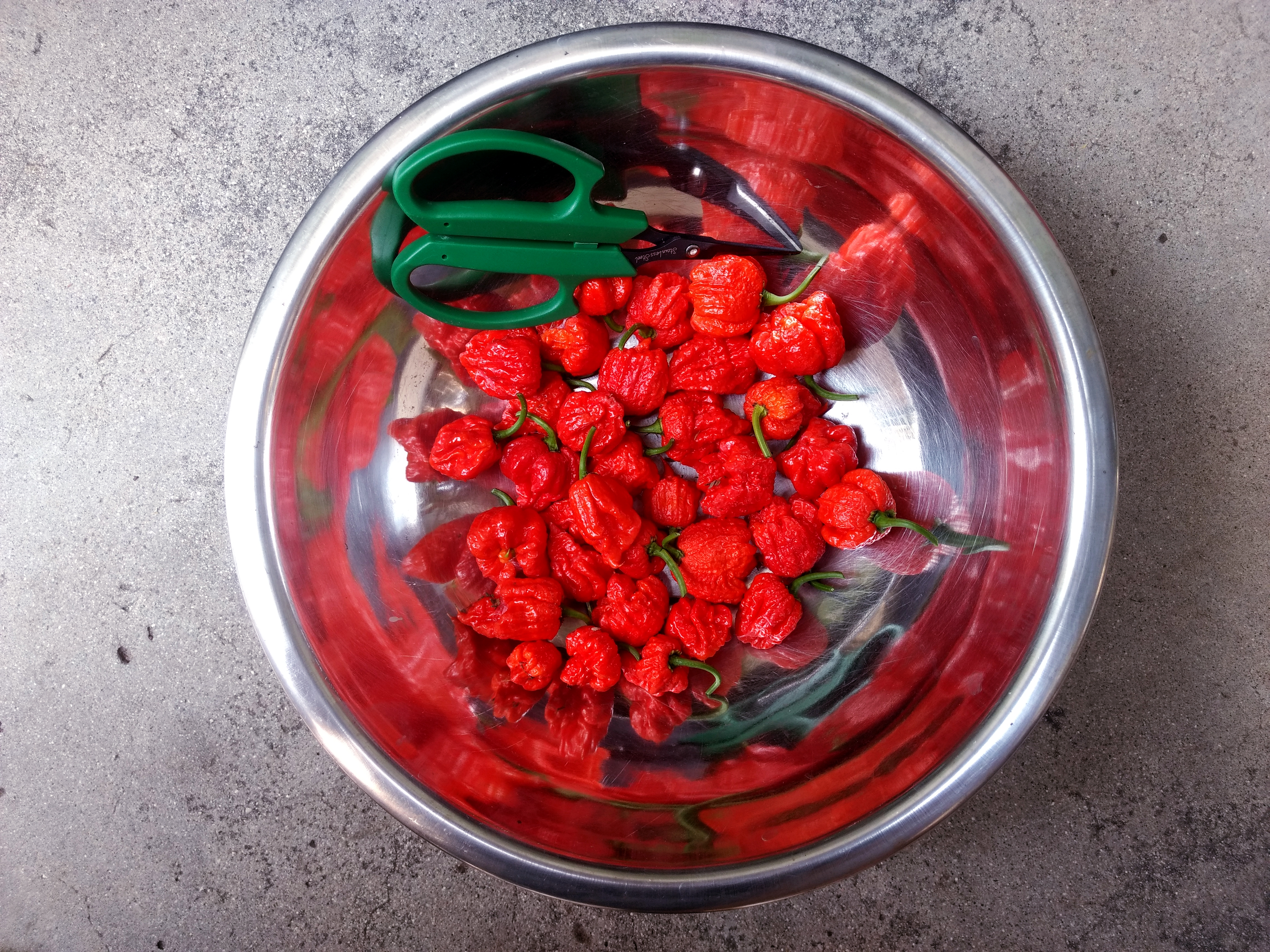 hurthurtfruit/reapers.jpg