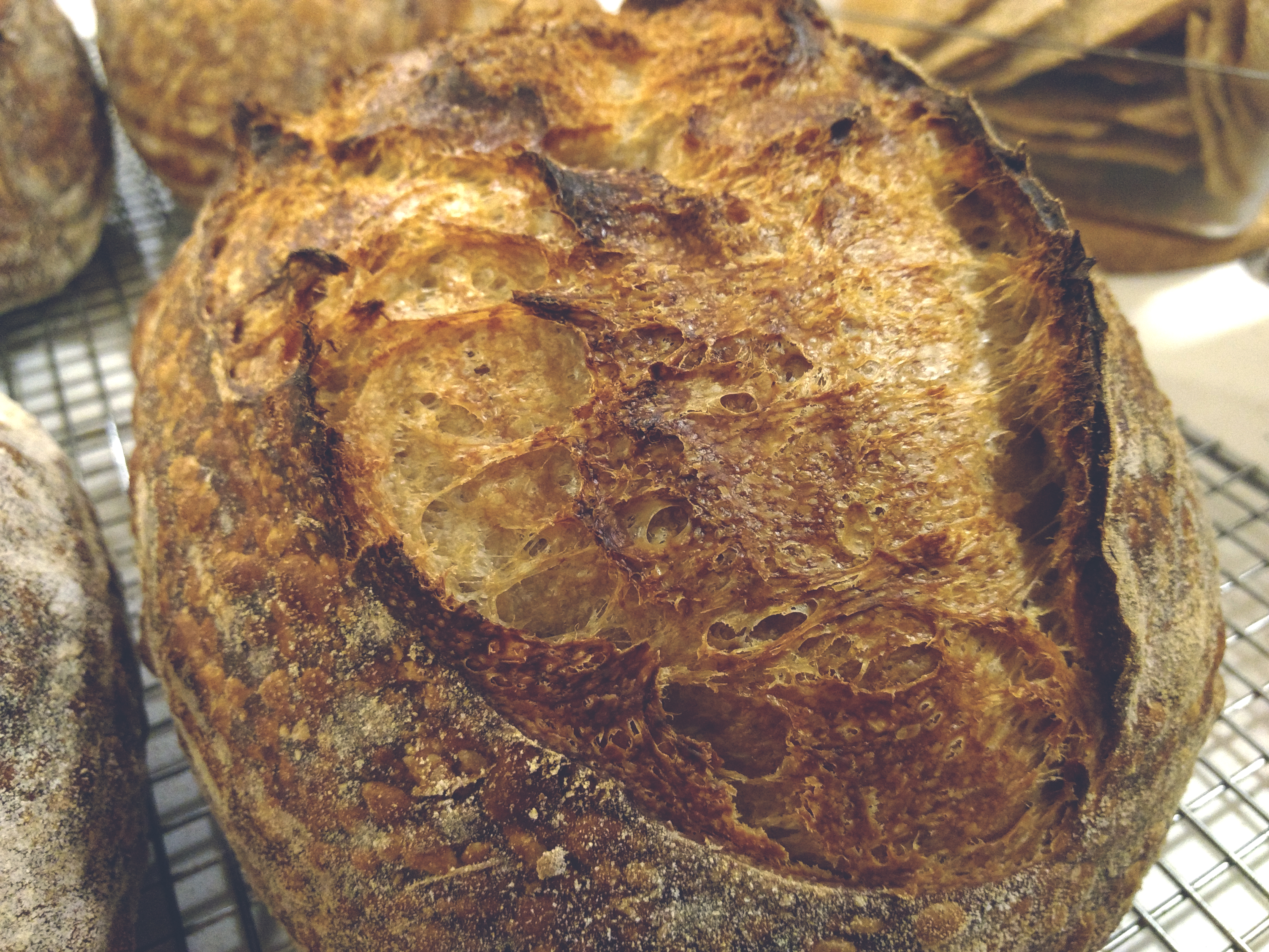 sourdough/loaftop.jpg